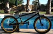 Customer Custom - Logan Cruz